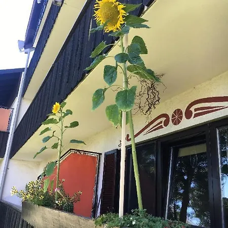 Hani Apartment *